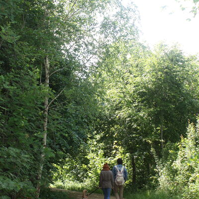 Bild vergrößern: Spaziergänger am Walderlebnispfad